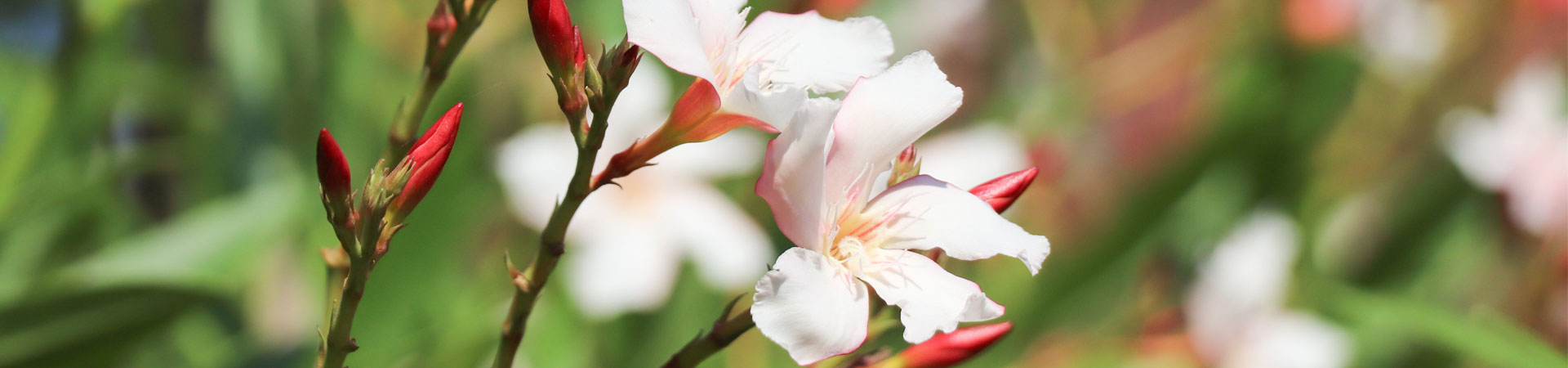 suncitygroup太阳集团